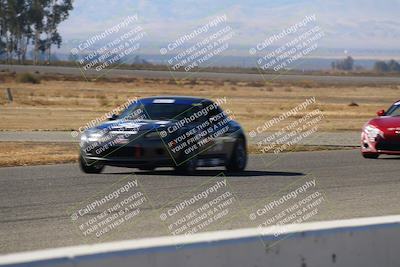 media/Nov-16-2024-CalClub SCCA (Sat) [[641f3b2761]]/Group 4/Grid and Front Straight/